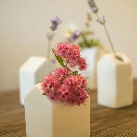 Domaine Le Coq Enchante 3* Cambremer