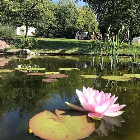 Domaine Le Coq Enchante Penzion 3*