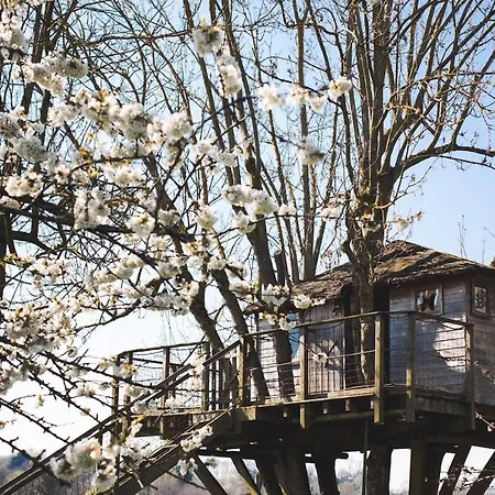 Guest house D'hotes - Domaine Le Coq Enchante 3*