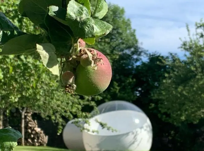 D'hotes - Domaine Le Coq Enchante Penzion Cambremer