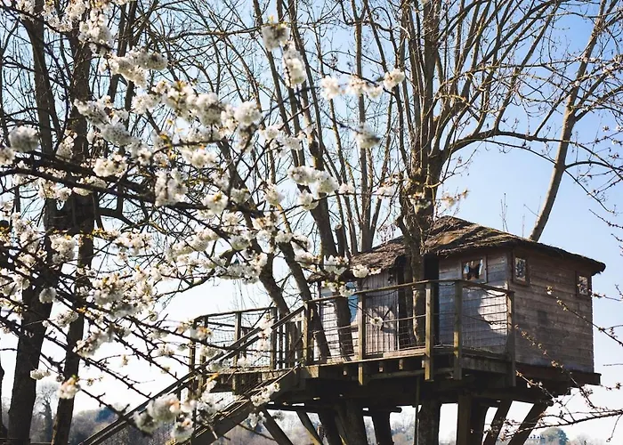 Penzion D'hotes - Domaine Le Coq Enchante 3*